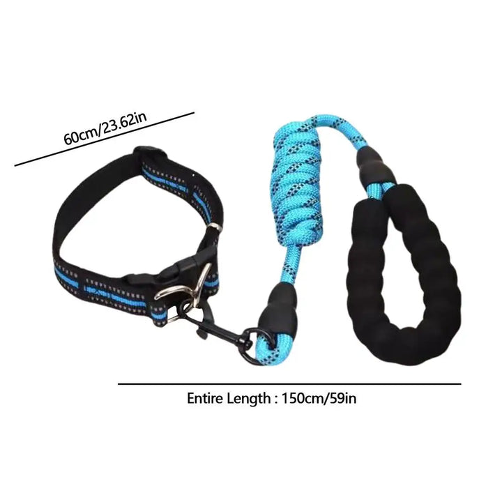 Collier réfléchissant chien – Pour les balades même dans l’ombre