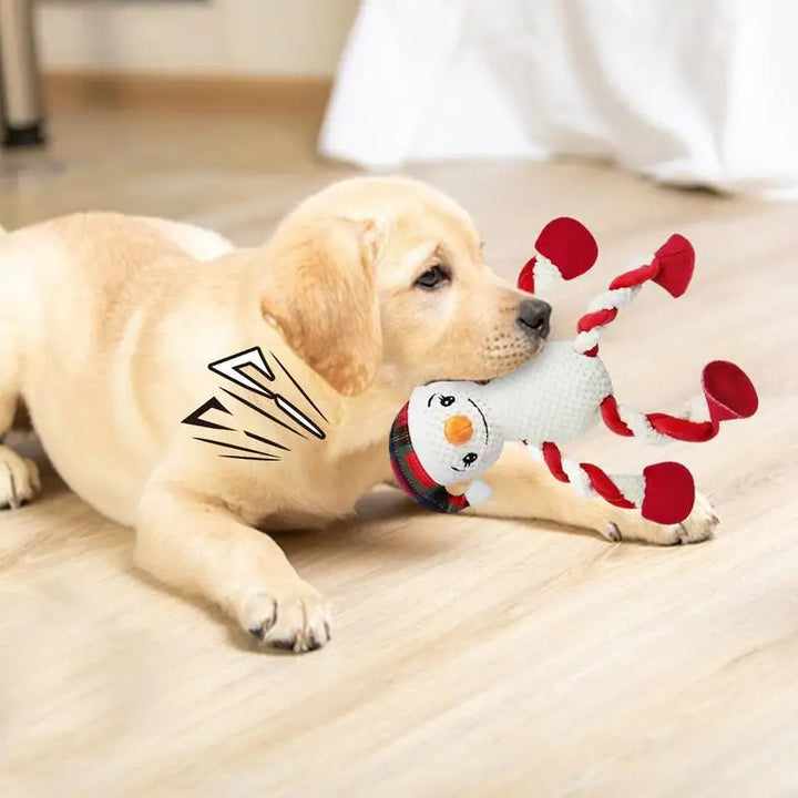 Jouet de Noël à Mâcher pour Chien - HautePattes
