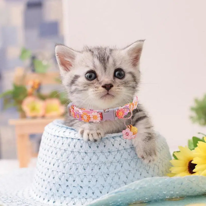 Collier chaton mignon – Pour les petits cœurs à quatre pattes