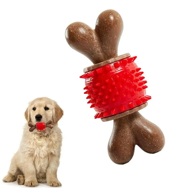 Jouet à mâcher soin dentaire pour Chien - HautePattes