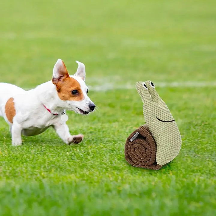 Jouet Enrichissant pour Chien – Escargot Sonore à Friandises - HautePattes