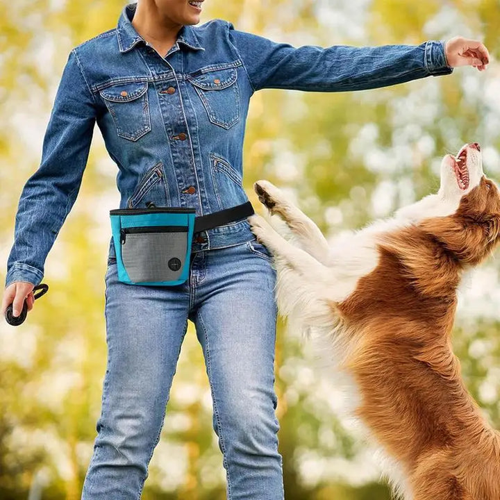 Sac friandises pour chien : dressez mieux, réagissez vite