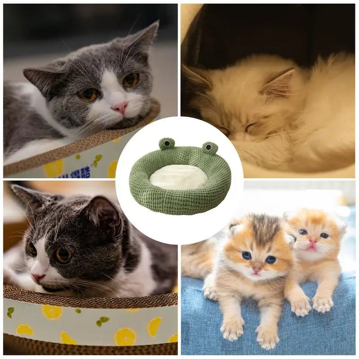 Panier pour Chat et Petit Chien – Design Grenouille Douillet - HautePattes