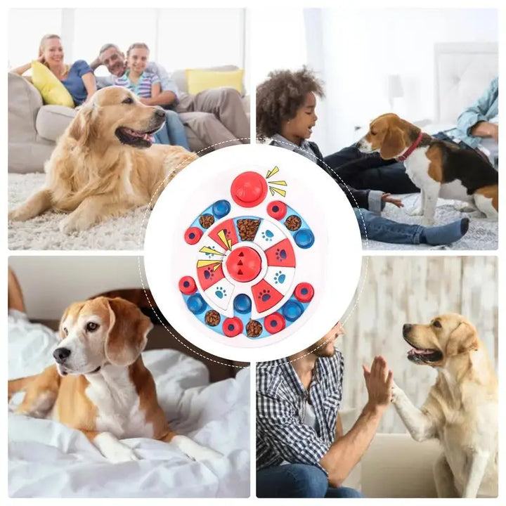 Distributeur interactif puzzle pour chien - HautePattes