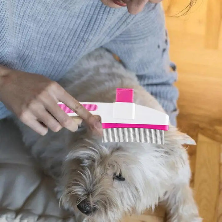 Brosse toilettage chat : douceur, soin et lien renforcé