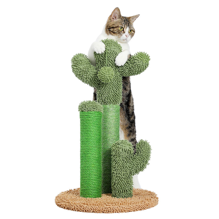 Griffoir cactus pour chat qui canalise l’instinct avec style