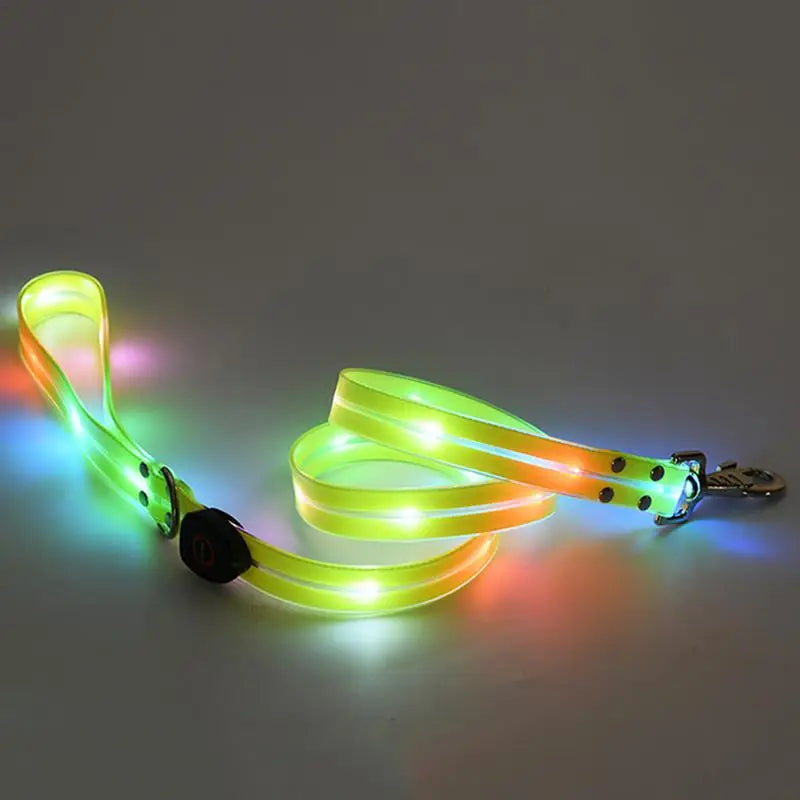 Collier lumineux chien : balades nocturnes en toute sécurité