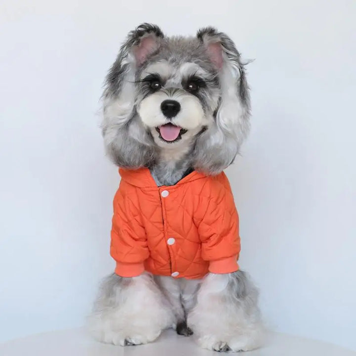 Manteau chaud avec bandes réfléchissantes pour chien courageux