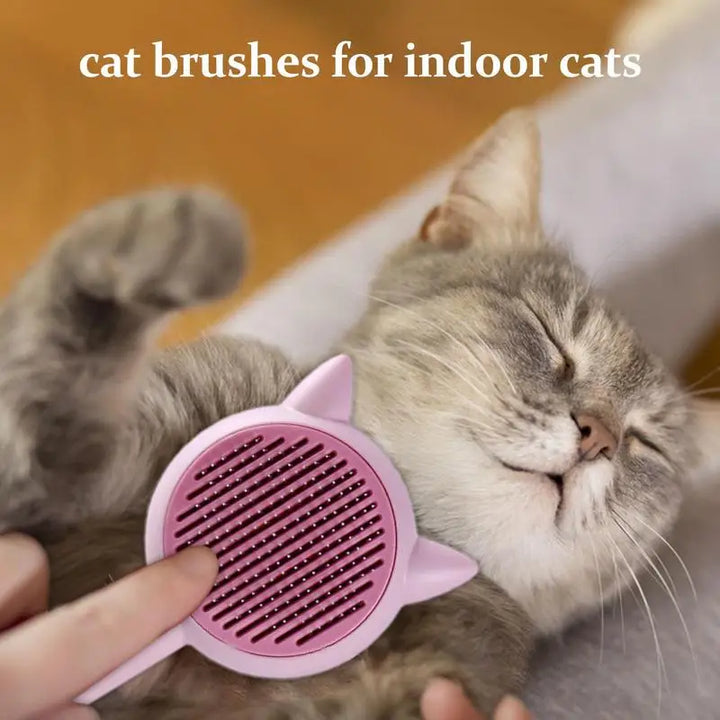 Brosse Autonettoyante Innovante - HautePattes