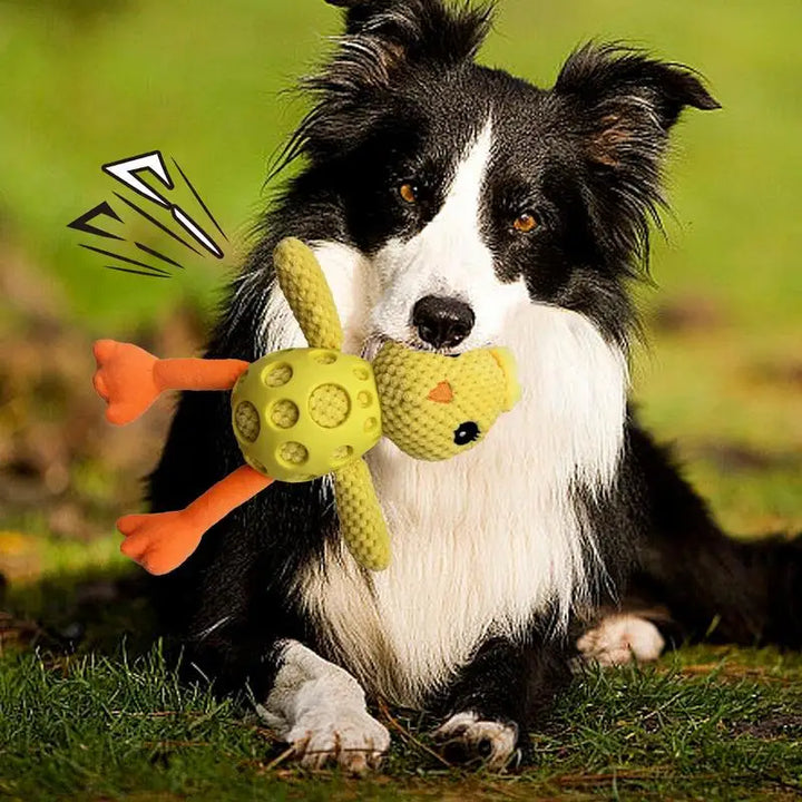 Jouet couineur pour chien Forme poussin - HautePattes