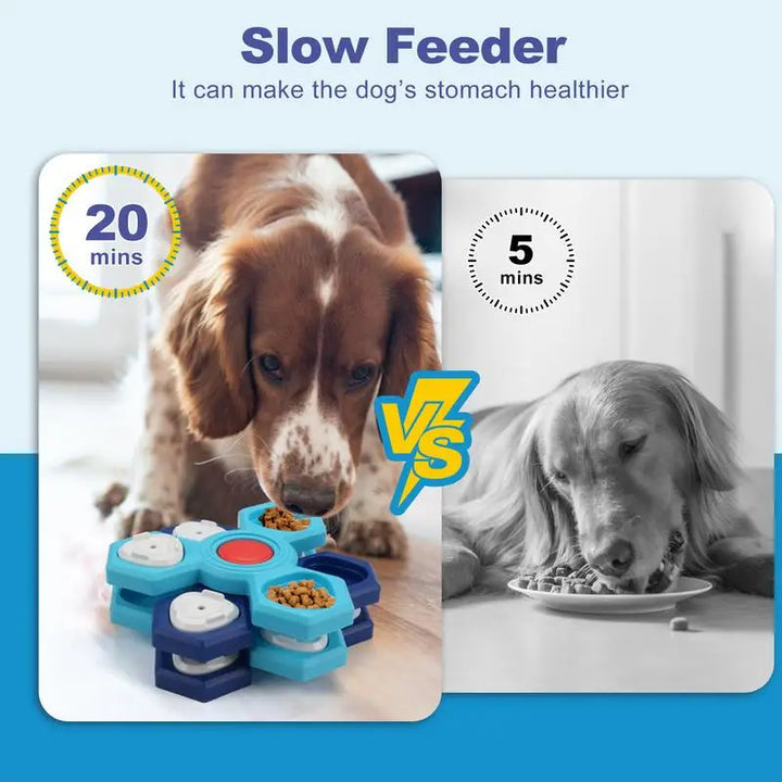 Gamelle lente anti-glouton - HautePattes