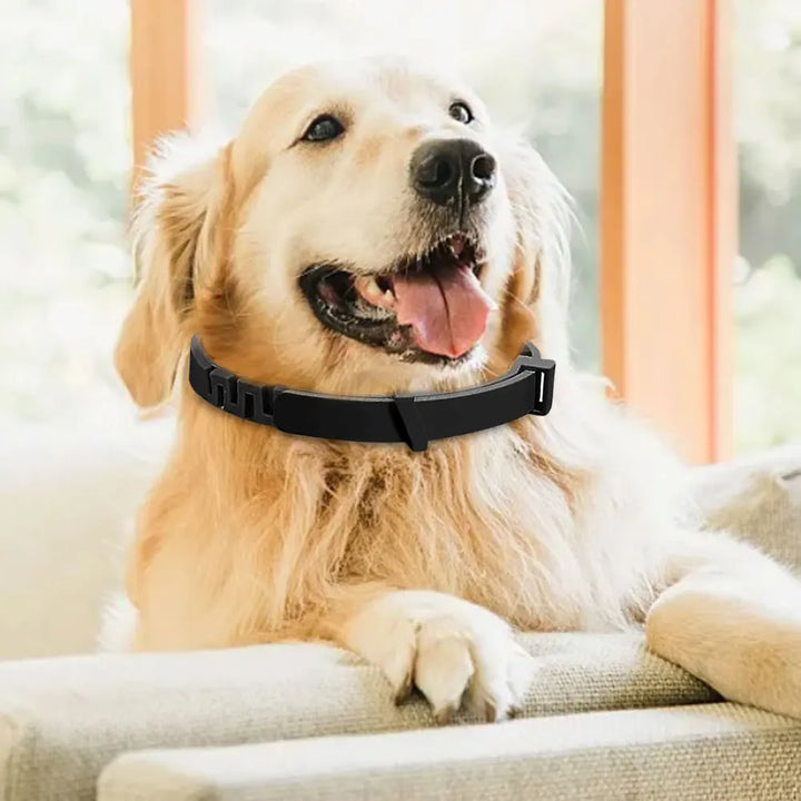 Collier apaisant chien & chat : le calme revient sans un mot