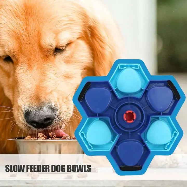 Gamelle lente anti-glouton - HautePattes