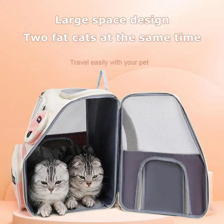 Sac à dos transport chien & chat : fluide, rassurant et pensé pour vos trajets à deux