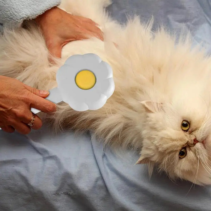 Brosse Tournesol premium - HautePattes