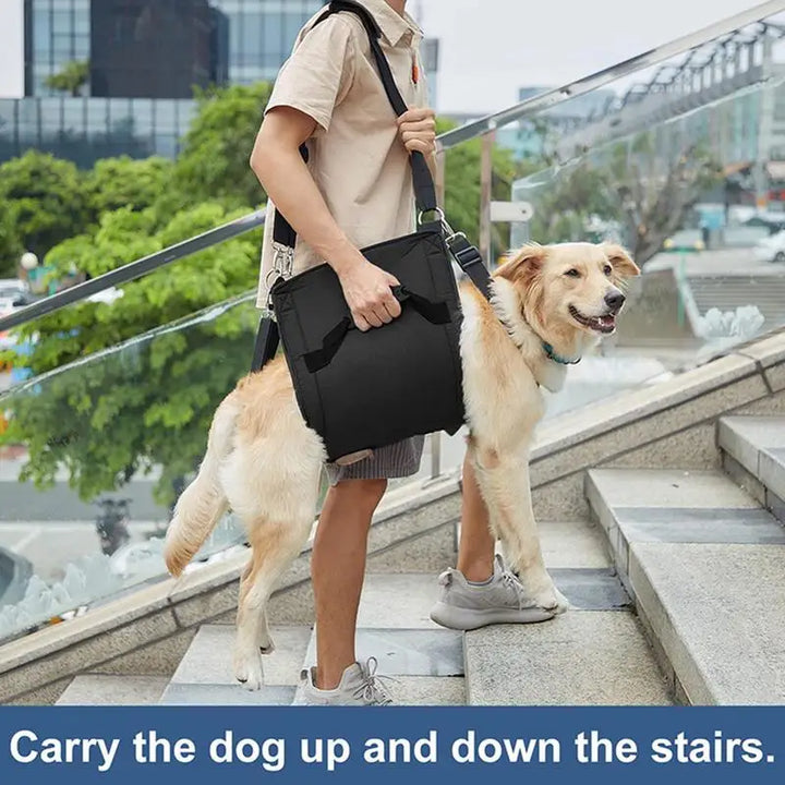 Harnais de soutien pour chien : marcher encore, ensemble