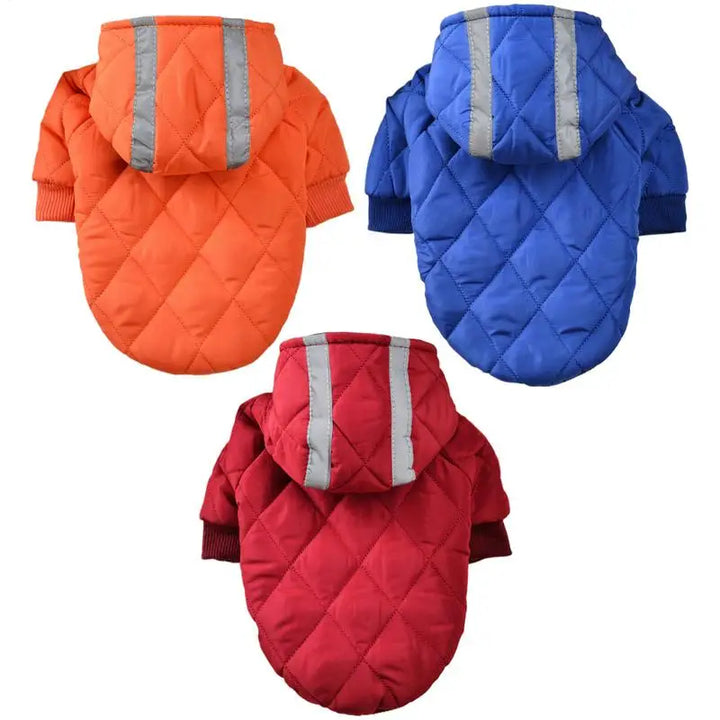 Manteau chaud avec bandes réfléchissantes pour chien courageux