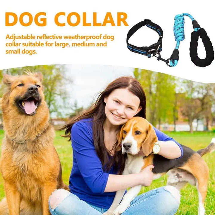 Collier réfléchissant chien – Pour les balades même dans l’ombre