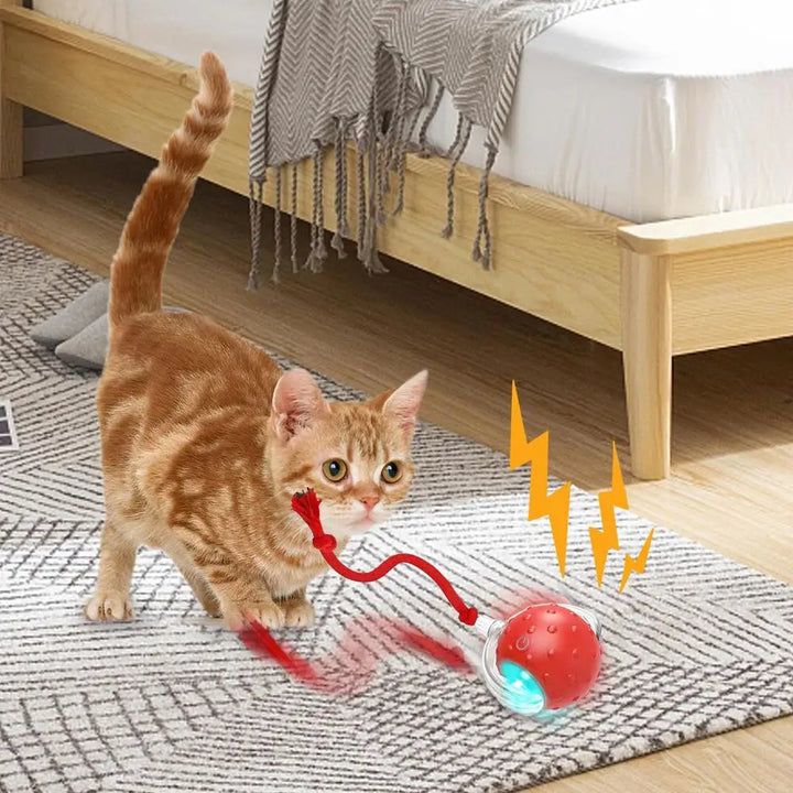 Balle de jouet interactive pour chat chien recharge USB - HautePattes