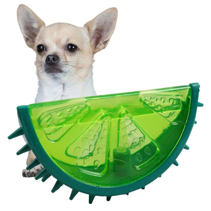 Jouet Rafraîchissant à Mâcher pour Chiot - HautePattes