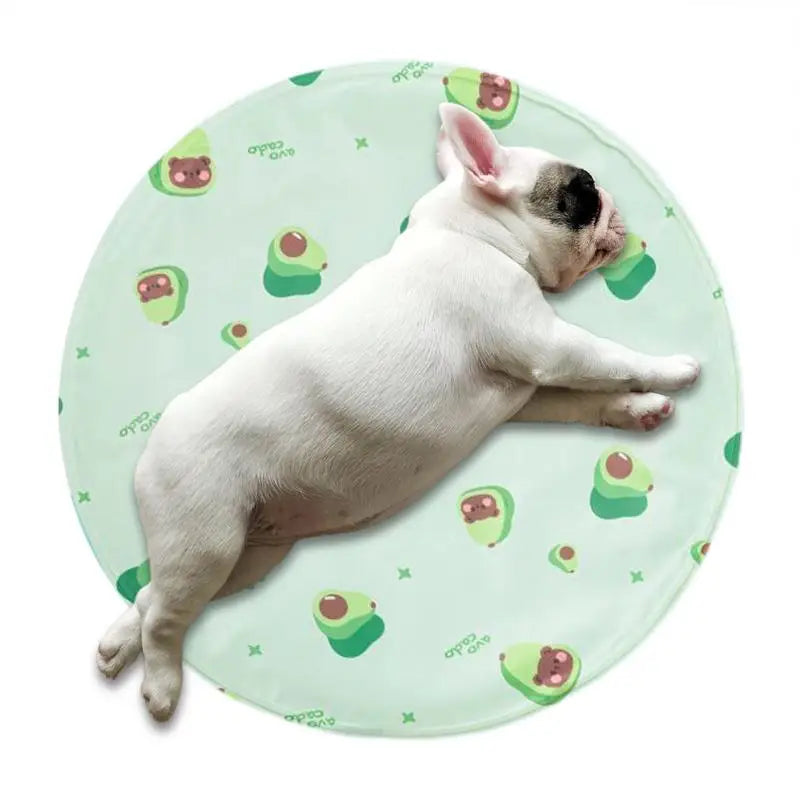 Tapis Rafraîchissant Double Gel Polymère - HautePattes