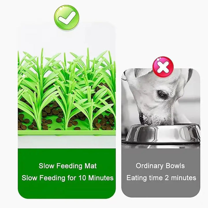 Tapis dâalimentation en herbe pour animaux de compagnie - HautePattes