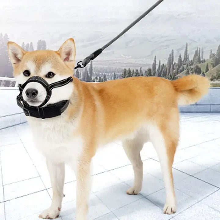 Muselière réfléchissante pour chien : sécurité nocturne & confort absolu