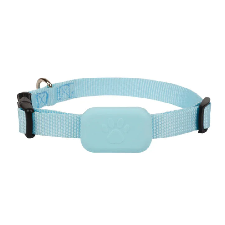 Collier GPS chien & chat : visible, localisable, et toujours retrouvable