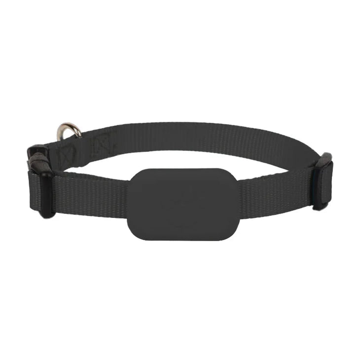 Collier GPS chien & chat : visible, localisable, et toujours retrouvable