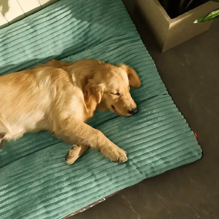 Tapis en Velours Côtelé pour Chien - HautePattes
