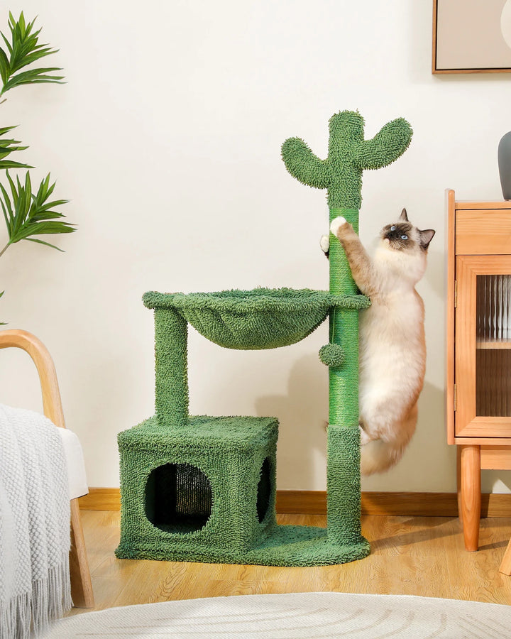 Arbre à Chat Cactus 4-en-1 - HautePattes