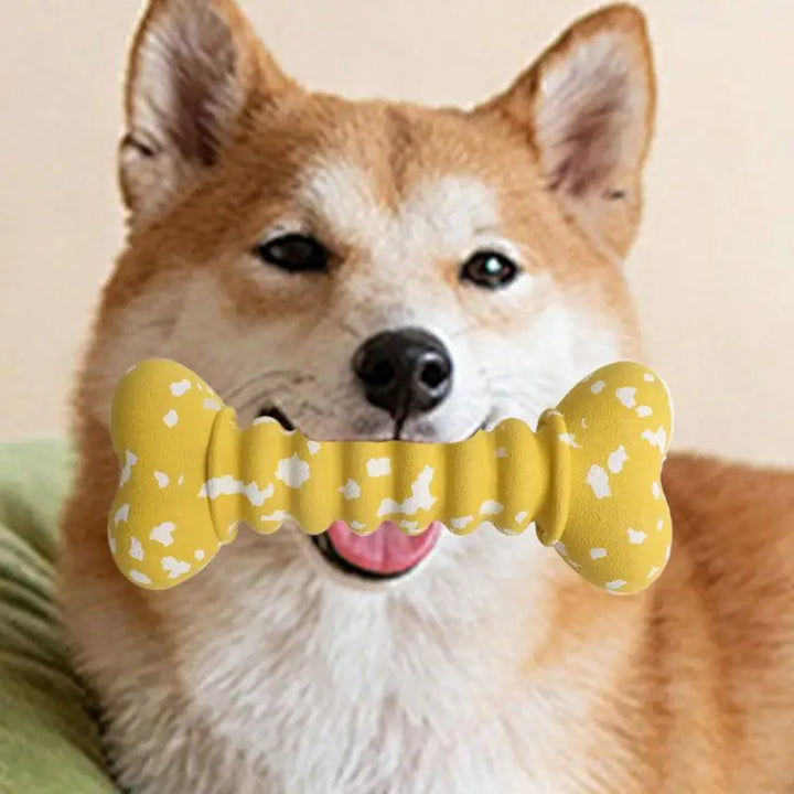 Jouet à Mâcher en Caoutchouc Ultra-Résistant - HautePattes