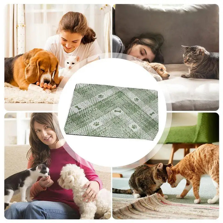 Tapis Sobre et Élégant pour Chien et Chat - HautePattes