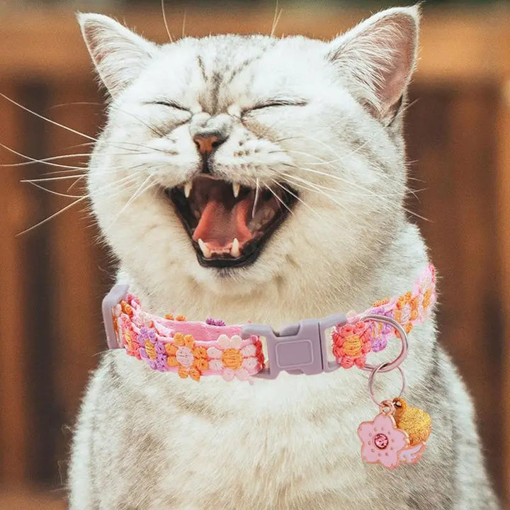 Collier chaton mignon – Pour les petits cœurs à quatre pattes