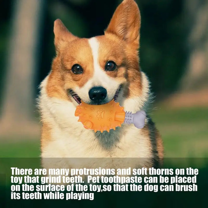 Jouet de dentition pour chien - HautePattes