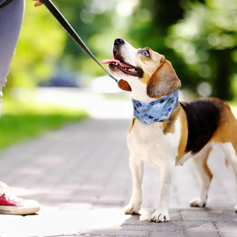 Bandana rafraîchissant chien chat – Fraîcheur douce Soulagement immédiat