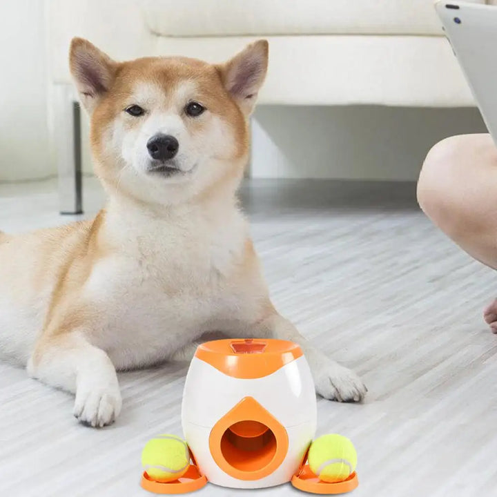 Lanceur de balles interactif pour chien - HautePattes