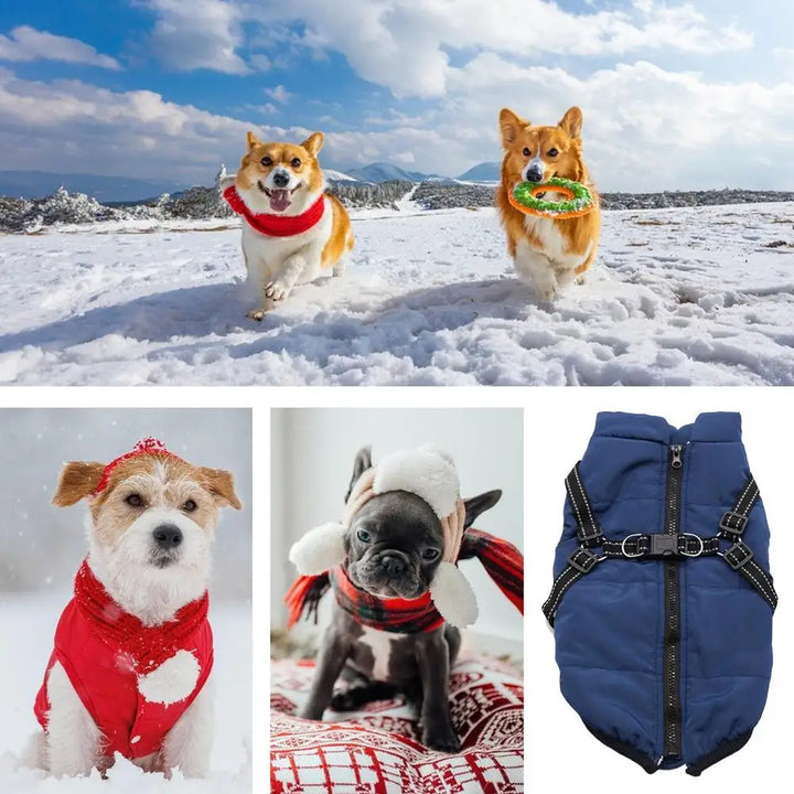 Manteau chaud avec harnais intégré – Hiver serein pour votre chien