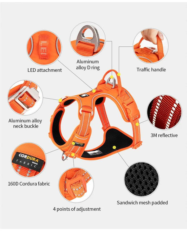 Harnais True love anti-traction chien nylon réfléchissant - HautePattes