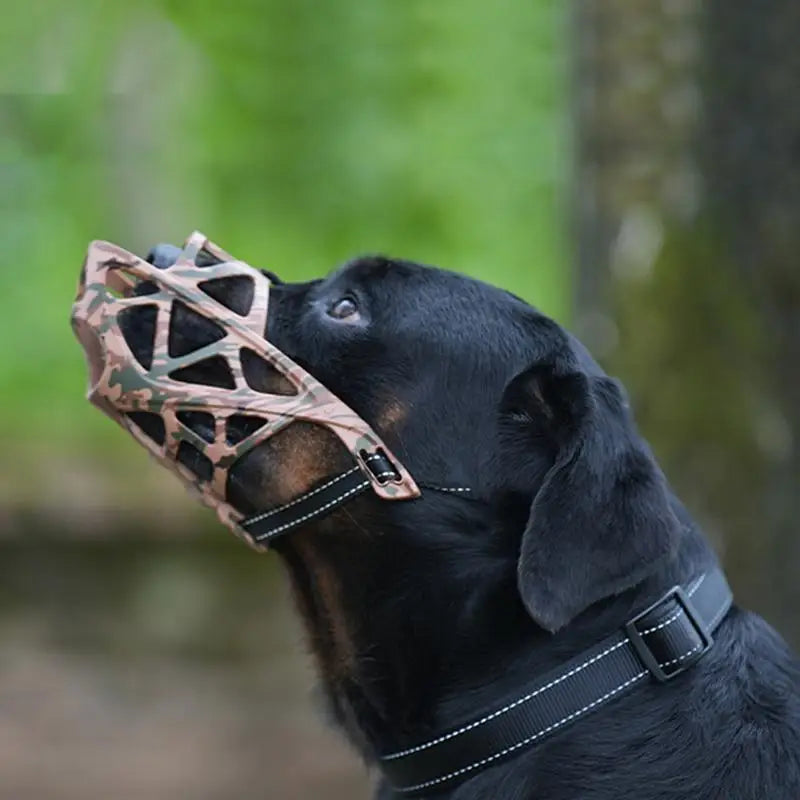 Muselière ajourée pour chien grande taille confort et contrôle