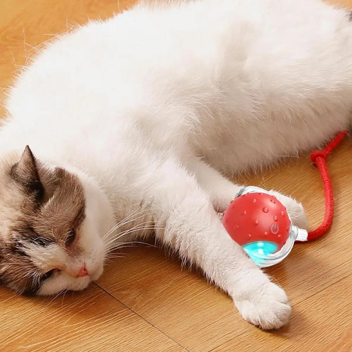 Balle de jouet interactive pour chat chien recharge USB - HautePattes