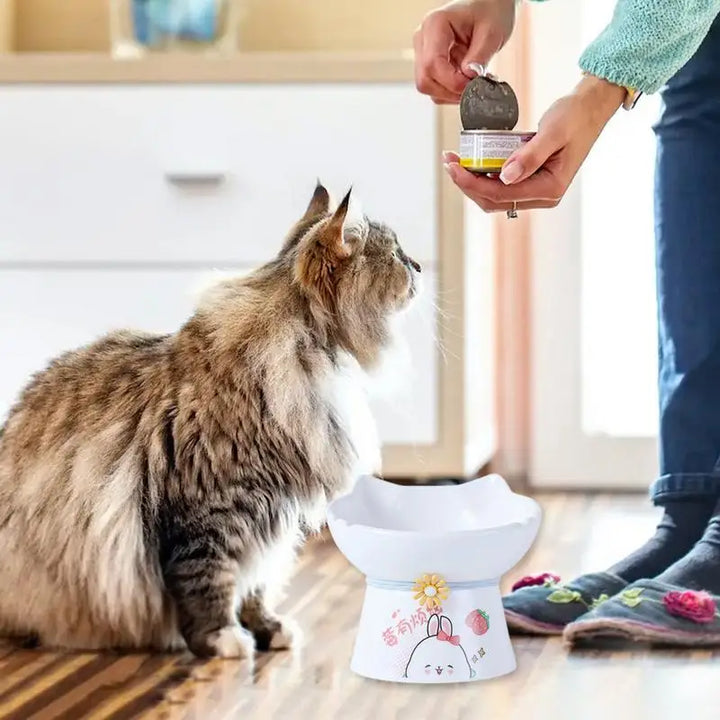 Gamelle surélevée chat – Pour manger sans douleur, tous les jours