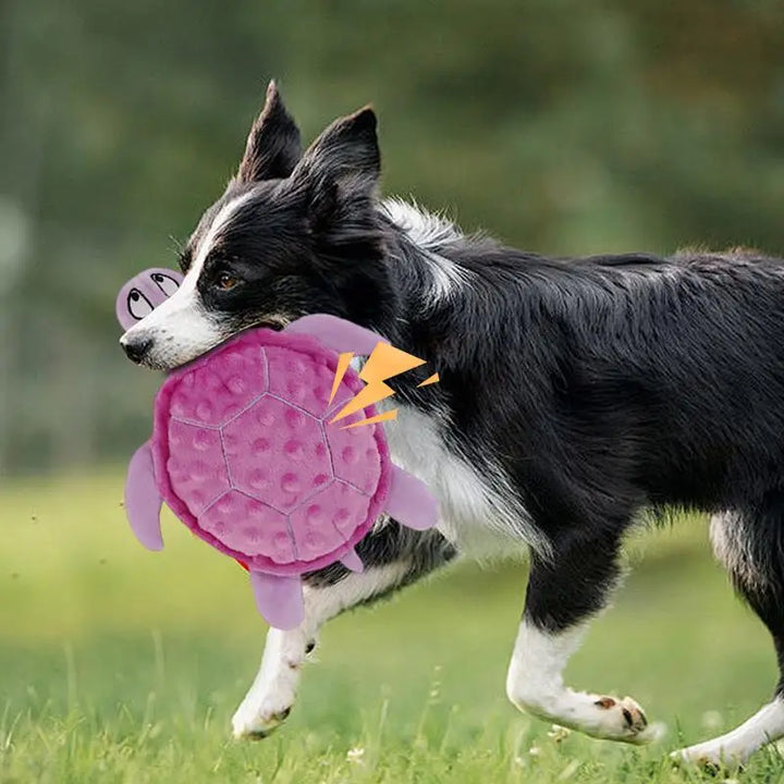 Peluche en Forme de Tortue pour Chien - HautePattes