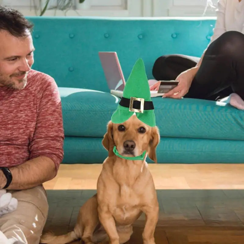 Chapeau vert pour chat ou petit chien - HautePattes