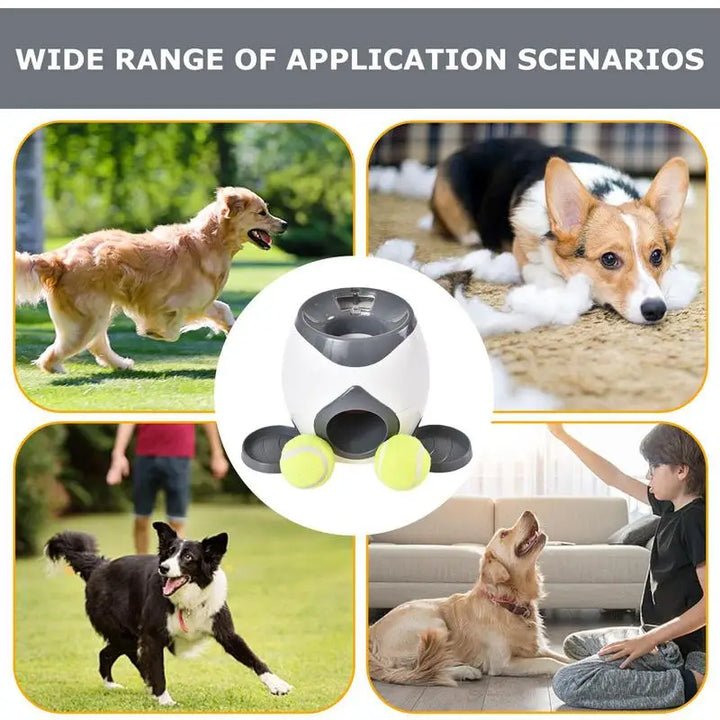 Lanceur de balles interactif pour chien - HautePattes