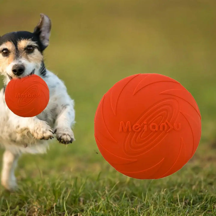 Frisbee Ultra-Résistant pour Chiens - HautePattes