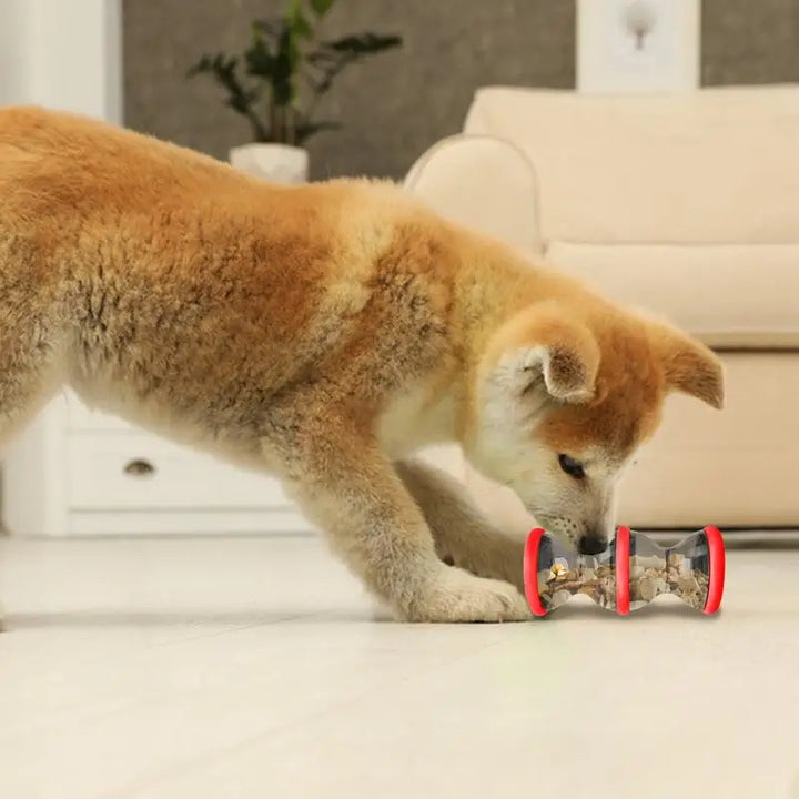 Balle distributrice de friandises - HautePattes