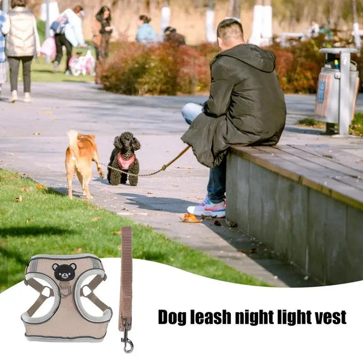 Harnais lumineux chien chat visible de nuit sans stress