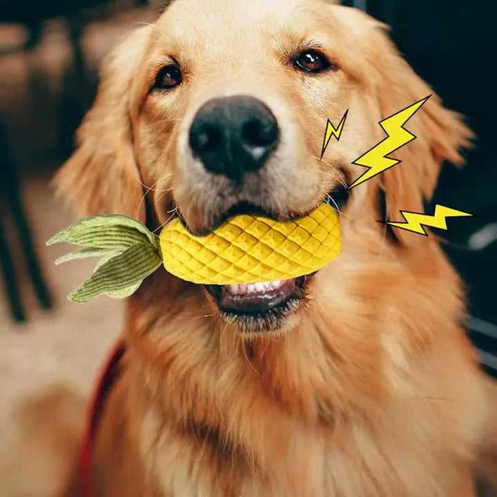 Jouet à mâcher pour chien en forme d’ananas - HautePattes
