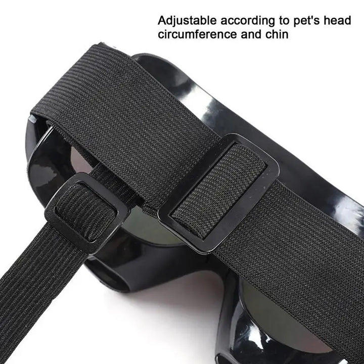 Lunettes pour chien protection UV - HautePattes